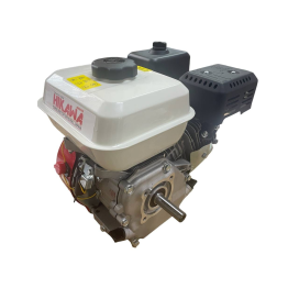 Двигатель для мойки BS168F 6.5 HP